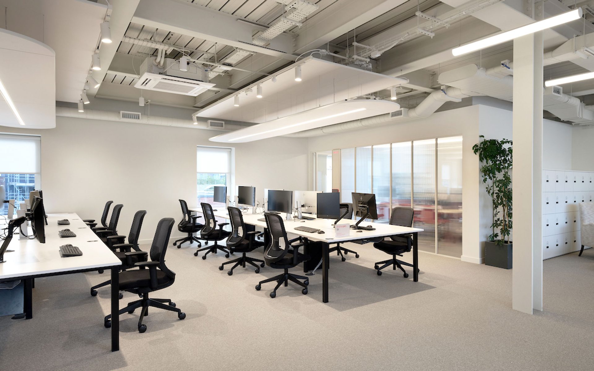 Virgin - White & Red