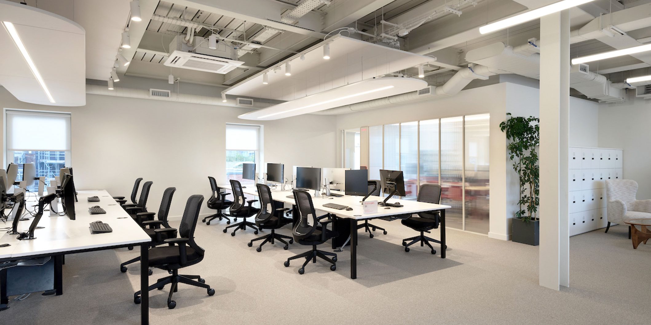 Virgin - White & Red